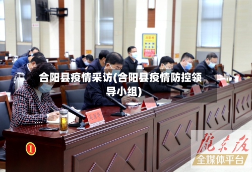 合阳县疫情采访(合阳县疫情防控领导小组)