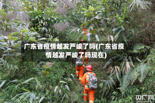 广东省疫情越发严峻了吗(广东省疫情越发严峻了吗现在)