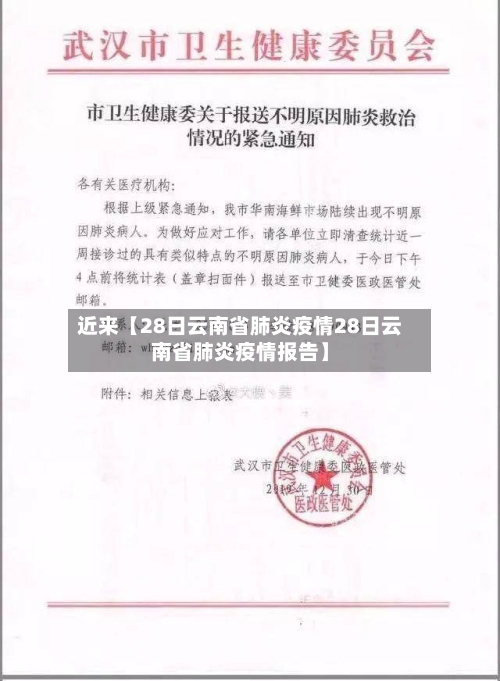 近来【28日云南省肺炎疫情28日云南省肺炎疫情报告】-第2张图片