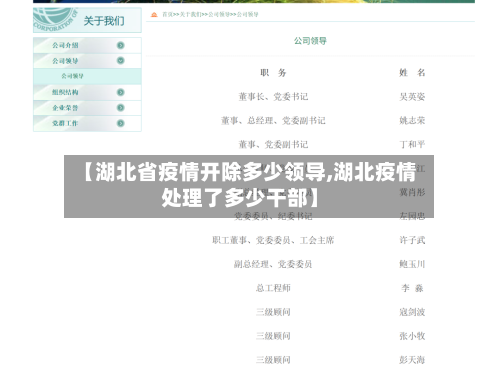 【湖北省疫情开除多少领导,湖北疫情处理了多少干部】-第2张图片