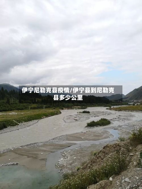 伊宁尼勒克县疫情/伊宁县到尼勒克县多少公里-第3张图片