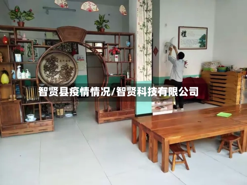 智贤县疫情情况/智贤科技有限公司-第2张图片