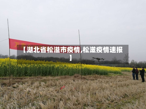 【湖北省松溢市疫情,松滋疫情速报】