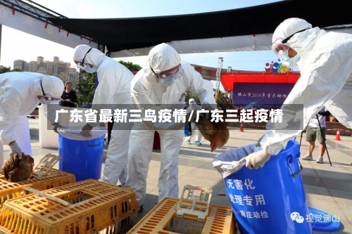 广东省最新三鸟疫情/广东三起疫情
