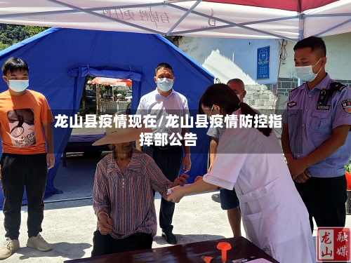 龙山县疫情现在/龙山县疫情防控指挥部公告-第2张图片