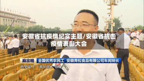 安徽省抗疫情纪实主题/安徽省抗击疫情表彰大会