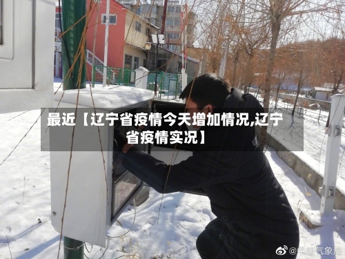 最近【辽宁省疫情今天增加情况,辽宁省疫情实况】-第2张图片