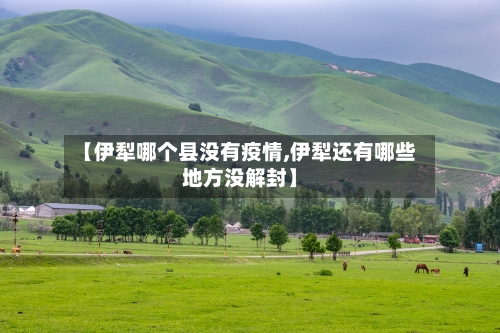 【伊犁哪个县没有疫情,伊犁还有哪些地方没解封】