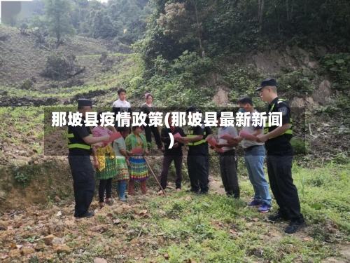 那坡县疫情政策(那坡县最新新闻)-第3张图片