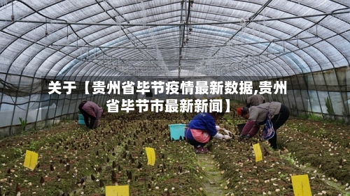 关于【贵州省毕节疫情最新数据,贵州省毕节市最新新闻】