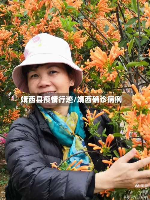 靖西县疫情行迹/靖西确诊病例