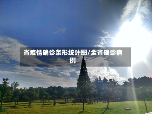 省疫情确诊条形统计图/全省确诊病例-第2张图片