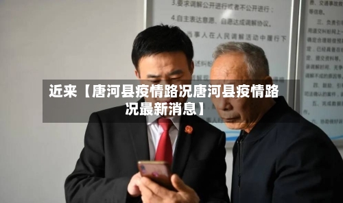近来【唐河县疫情路况唐河县疫情路况最新消息】-第2张图片