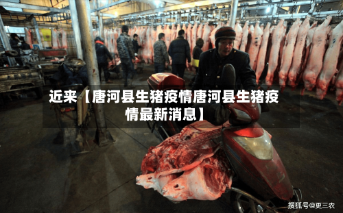 近来【唐河县生猪疫情唐河县生猪疫情最新消息】-第2张图片