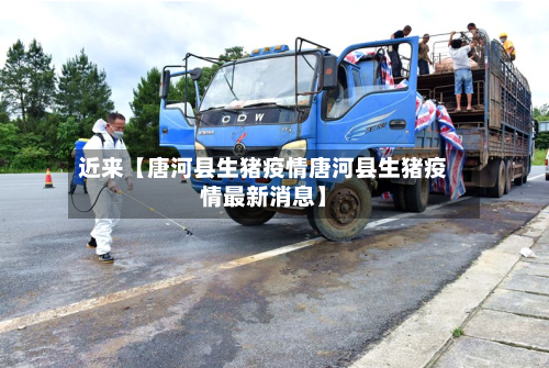 近来【唐河县生猪疫情唐河县生猪疫情最新消息】