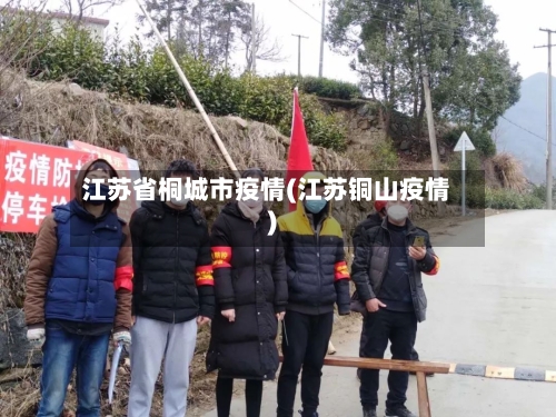 江苏省桐城市疫情(江苏铜山疫情)