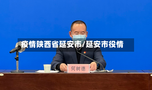 疫情陕西省延安市/延安市役情