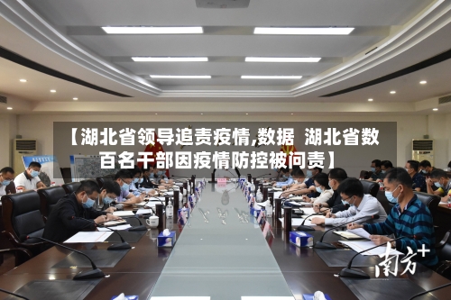 【湖北省领导追责疫情,数据  湖北省数百名干部因疫情防控被问责】