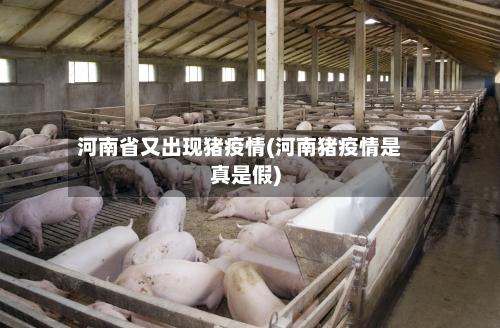 河南省又出现猪疫情(河南猪疫情是真是假)