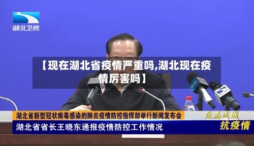 【现在湖北省疫情严重吗,湖北现在疫情厉害吗】-第3张图片