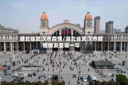 湖北省武汉市疫情/湖北省武汉市疫情爆发是哪一年
