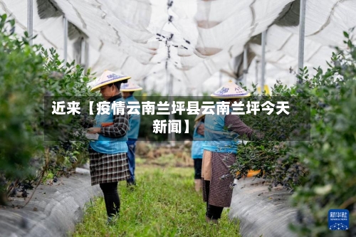 近来【疫情云南兰坪县云南兰坪今天新闻】