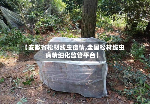 【安徽省松材线虫疫情,全国松材线虫病精细化监管平台】