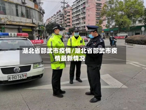 湖北省邵武市疫情/湖北省邵武市疫情最新情况-第3张图片