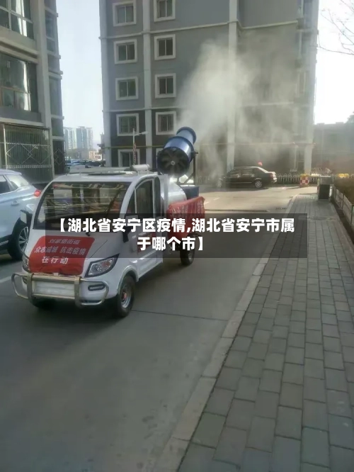 【湖北省安宁区疫情,湖北省安宁市属于哪个市】