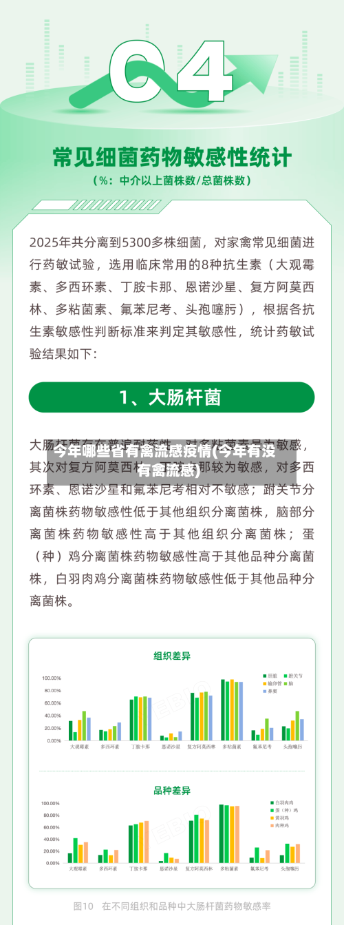 今年哪些省有禽流感疫情(今年有没有禽流感)
