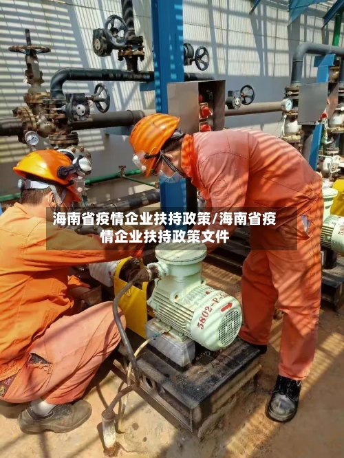 海南省疫情企业扶持政策/海南省疫情企业扶持政策文件-第2张图片