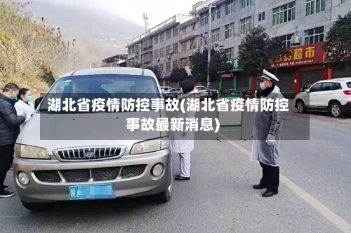 湖北省疫情防控事故(湖北省疫情防控事故最新消息)-第2张图片