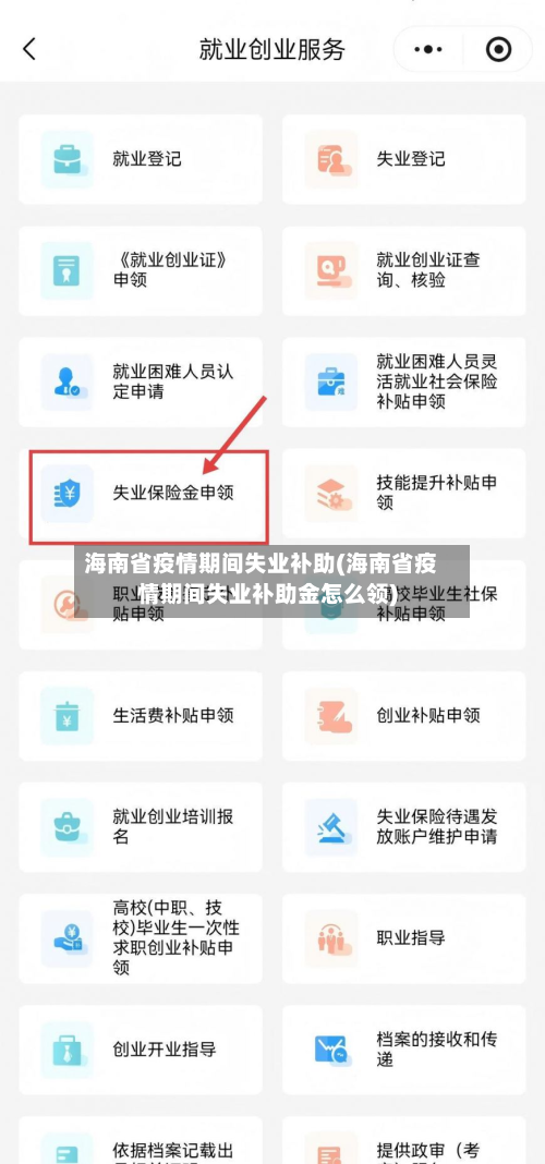 海南省疫情期间失业补助(海南省疫情期间失业补助金怎么领)-第3张图片