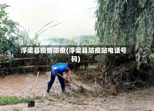 浮梁县疫情防疫(浮梁县防疫站电话号码)