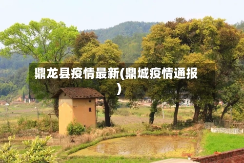 鼎龙县疫情最新(鼎城疫情通报)-第2张图片