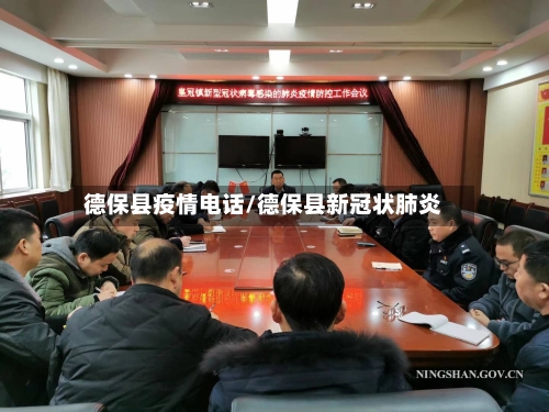 德保县疫情电话/德保县新冠状肺炎-第2张图片