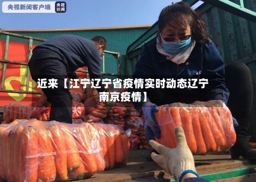近来【江宁辽宁省疫情实时动态辽宁南京疫情】-第3张图片