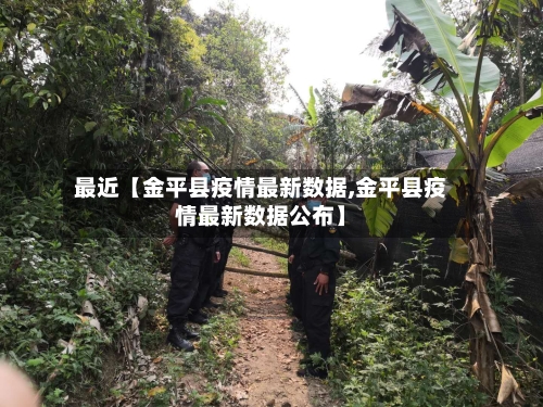 最近【金平县疫情最新数据,金平县疫情最新数据公布】-第3张图片
