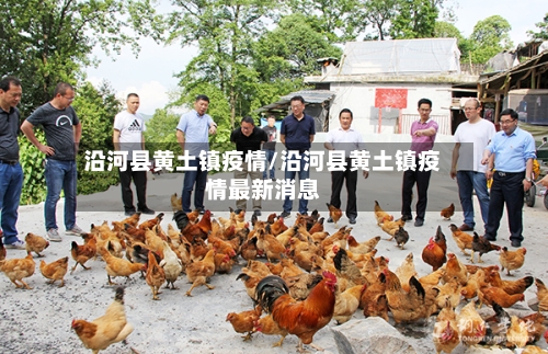 沿河县黄土镇疫情/沿河县黄土镇疫情最新消息-第2张图片