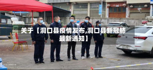 关于【洞口县疫情发布,洞口县新冠肺最新通知】-第2张图片