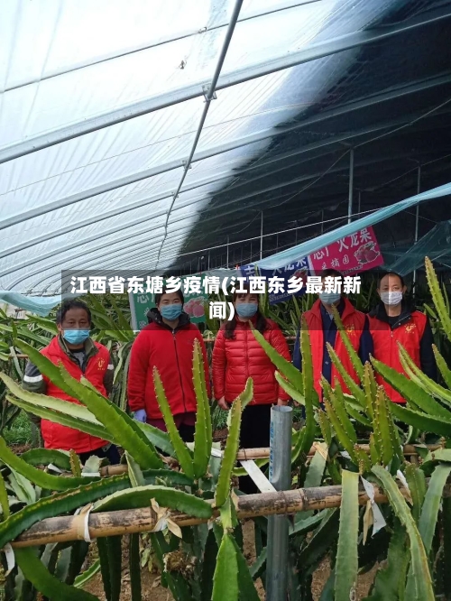 江西省东塘乡疫情(江西东乡最新新闻)