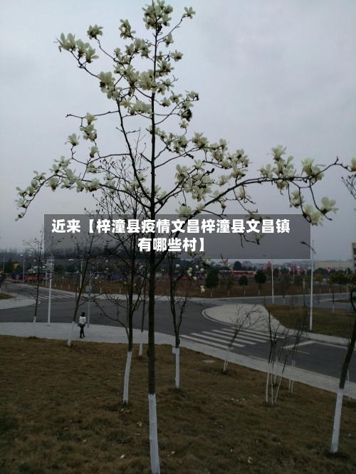 近来【梓潼县疫情文昌梓潼县文昌镇有哪些村】