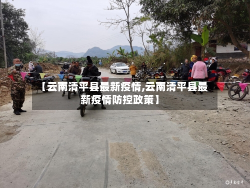 【云南清平县最新疫情,云南清平县最新疫情防控政策】-第2张图片