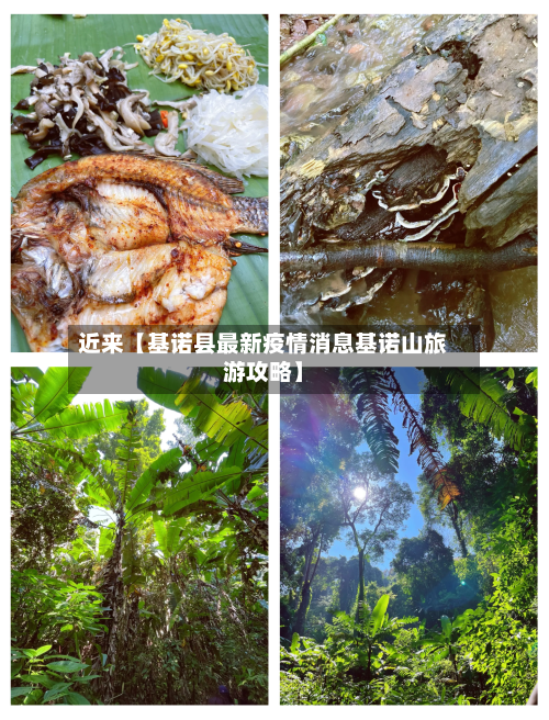 近来【基诺县最新疫情消息基诺山旅游攻略】-第2张图片