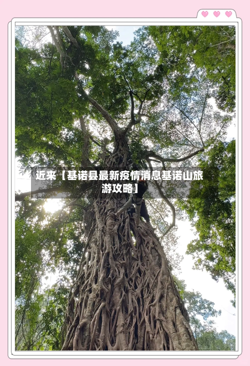 近来【基诺县最新疫情消息基诺山旅游攻略】-第3张图片