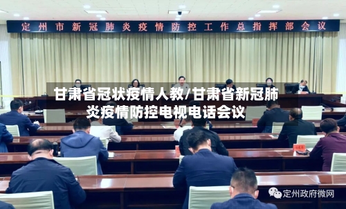 甘肃省冠状疫情人教/甘肃省新冠肺炎疫情防控电视电话会议