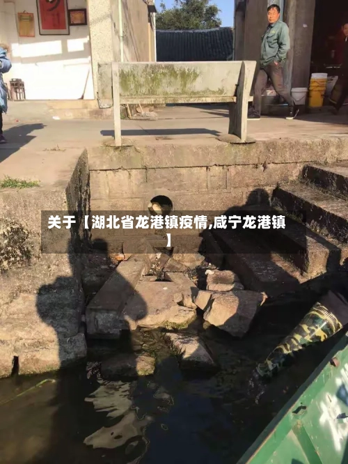 关于【湖北省龙港镇疫情,咸宁龙港镇】-第3张图片
