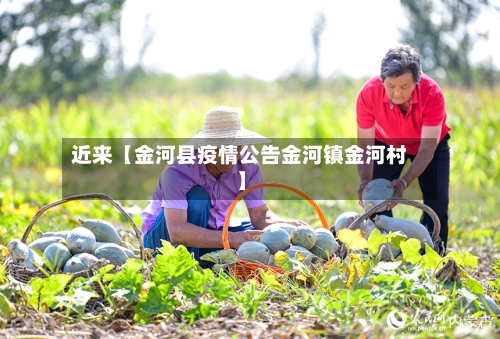 近来【金河县疫情公告金河镇金河村】