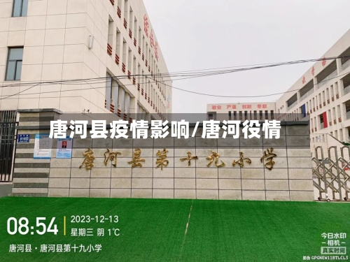 唐河县疫情影响/唐河役情