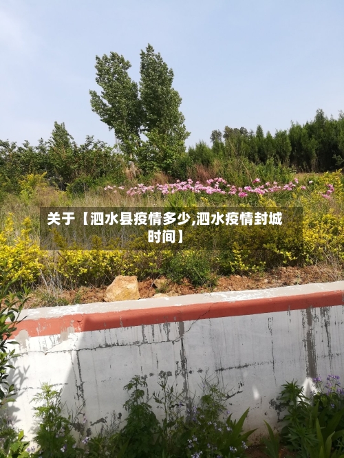 关于【泗水县疫情多少,泗水疫情封城时间】-第3张图片
